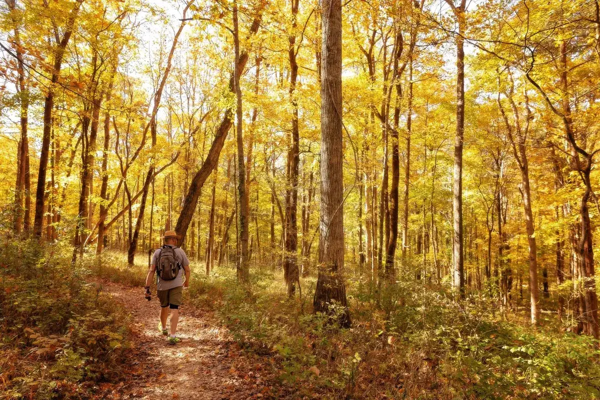 Best Outdoor Adventures in Huntsville
