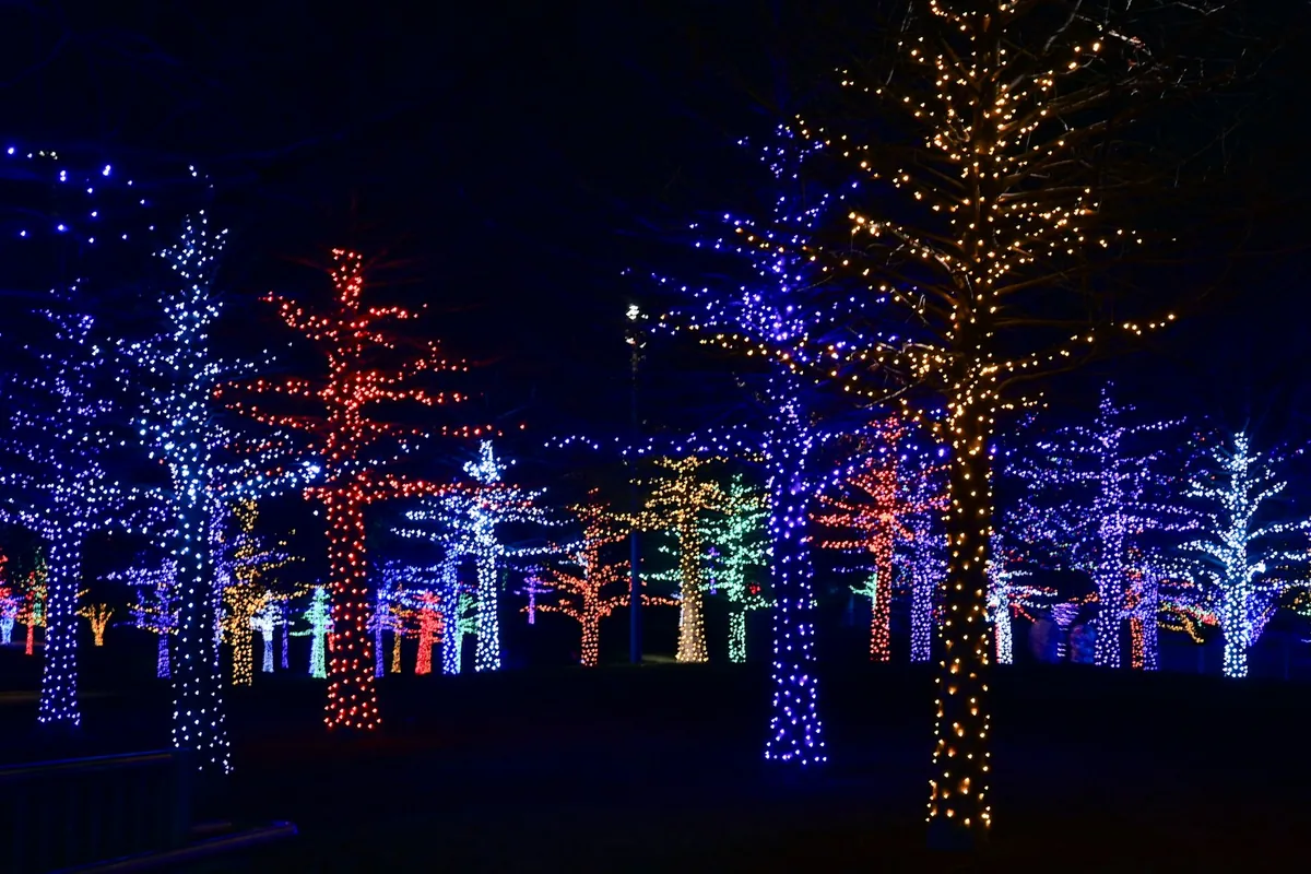 Winter in Huntsville: Holiday Lights, Ice Skating & Cozy Spots